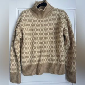 Everlane Wool Turtleneck